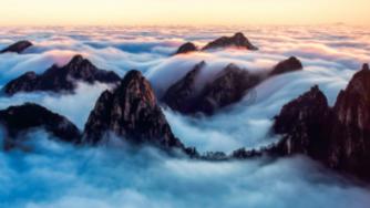 崩坏星穹铁道佩拉头像大全